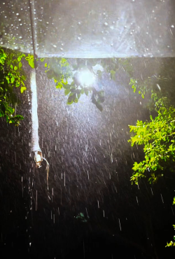 3e7ead6a-9e2f-4f28-9bd3-e478ffd836cc