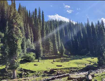 b742007c-26b0-4efb-924c-cc220740a753 b742007c-26b0-4efb-924c-cc220740a753