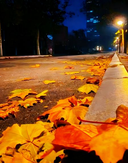 6581b3a7caa441eb6cc876c81d079fd0